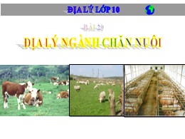Bài giảng môn Địa lí Lớp 10 - Bài 29: Địa lí nghành chăn nuôi